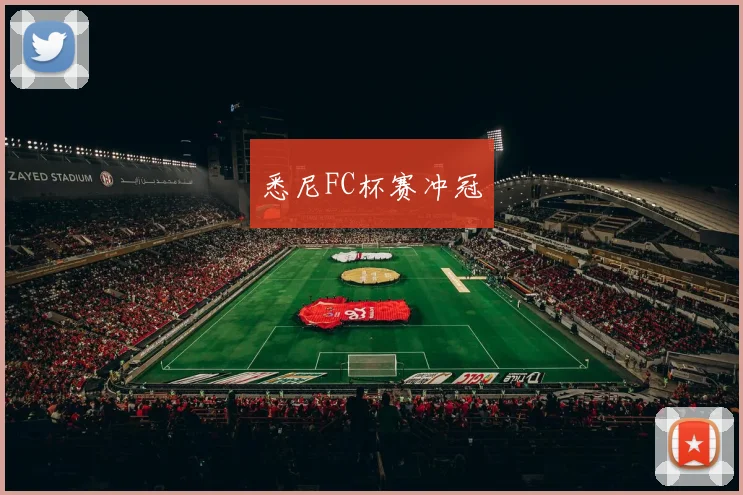 悉尼FC杯赛冲冠