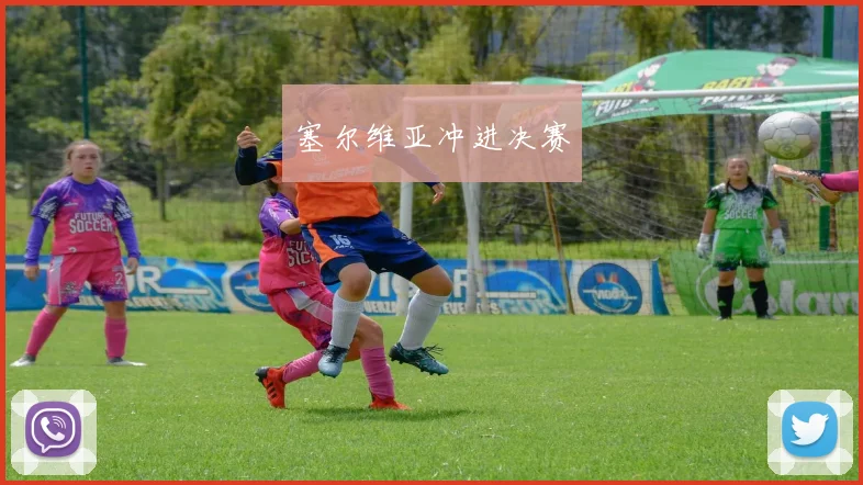 塞尔维亚冲进决赛