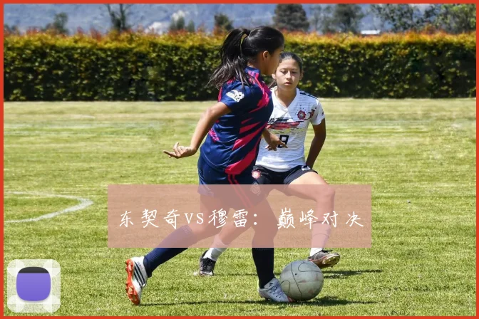东契奇vs穆雷：巅峰对决